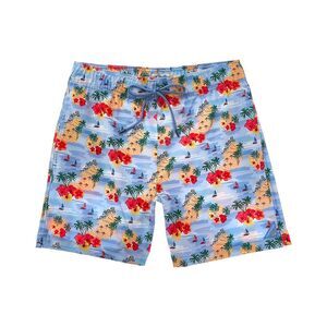 Mr. Swim Mens Stretch Swim Trunk, Blue